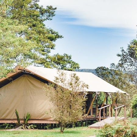 Silk Pavilions Glamping Mount Burrell Екстериор снимка