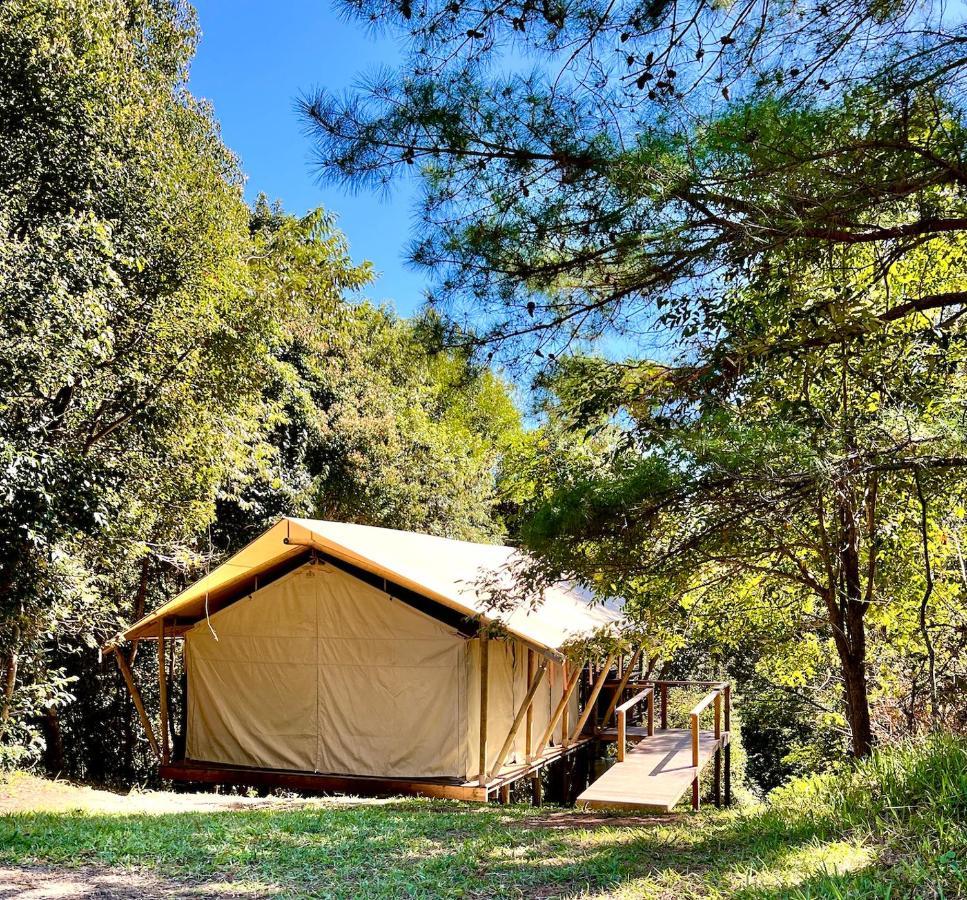 Silk Pavilions Glamping Mount Burrell Екстериор снимка