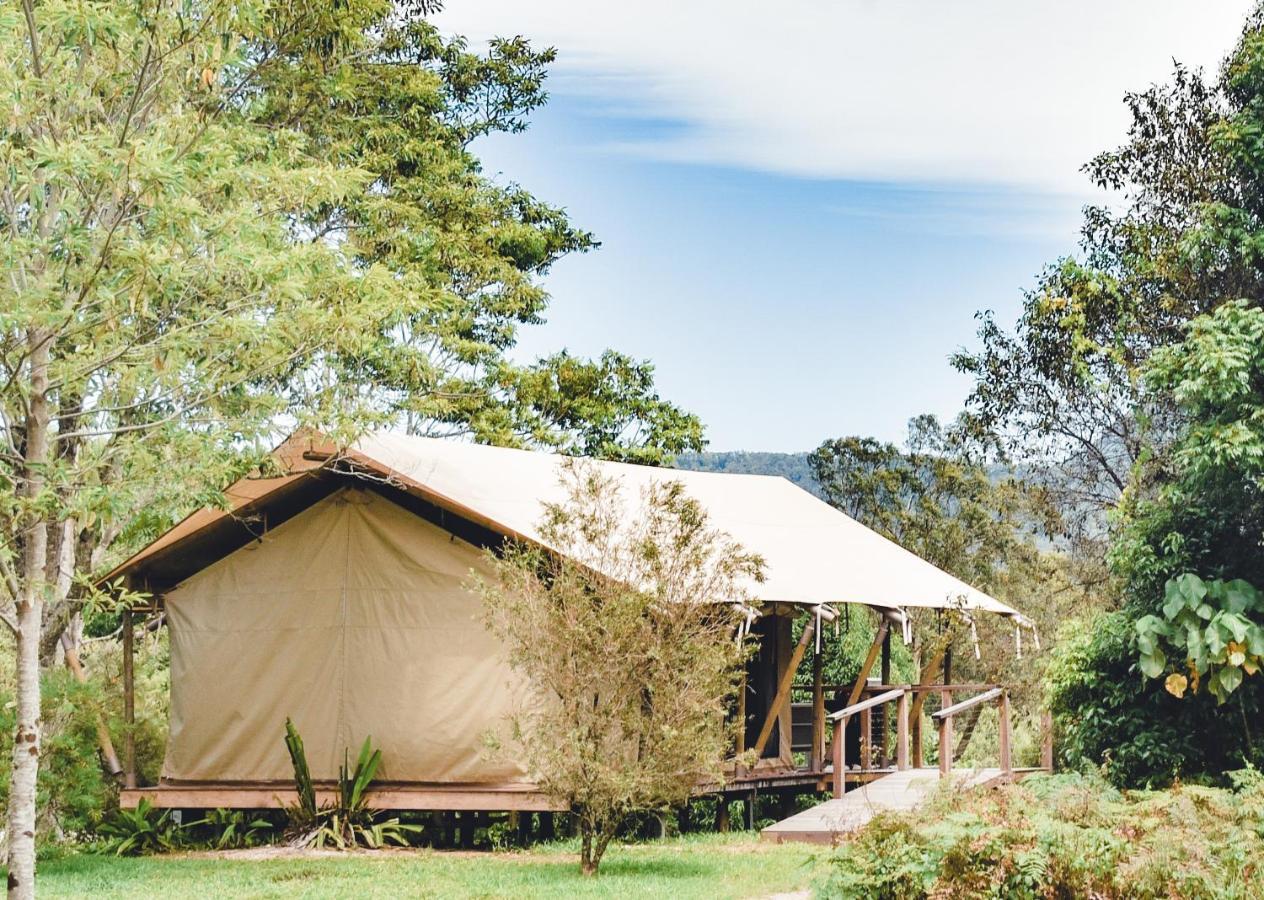Silk Pavilions Glamping Mount Burrell Екстериор снимка
