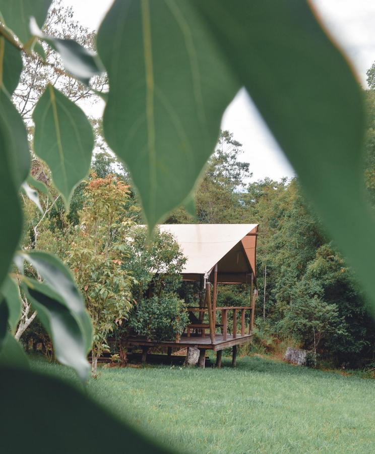 Silk Pavilions Glamping Mount Burrell Екстериор снимка