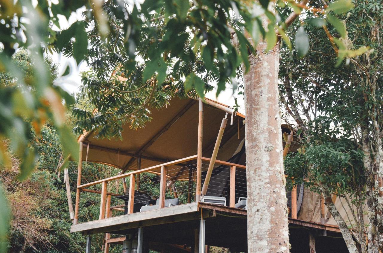 Silk Pavilions Glamping Mount Burrell Екстериор снимка